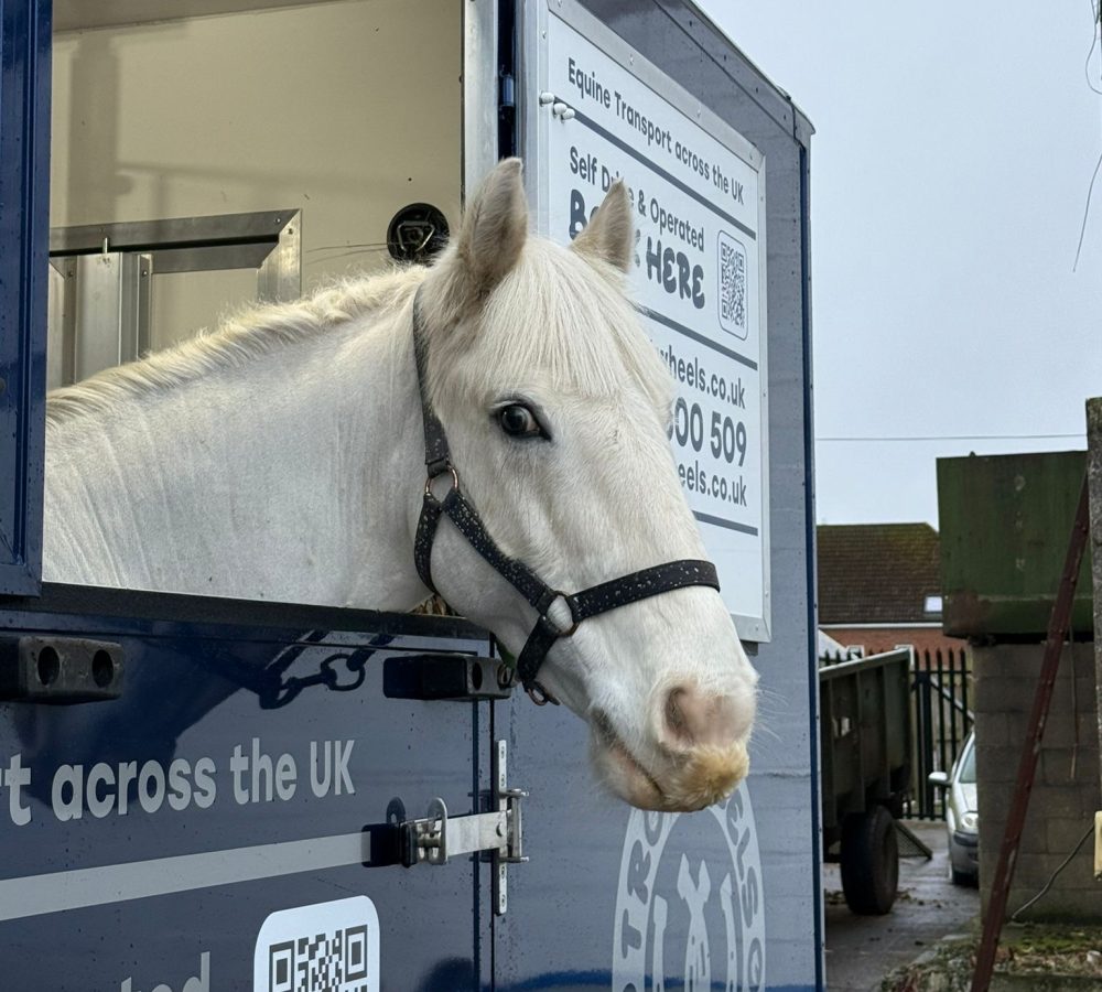 7b92955a-ffc9-4945-814e-8a8e946c47a8